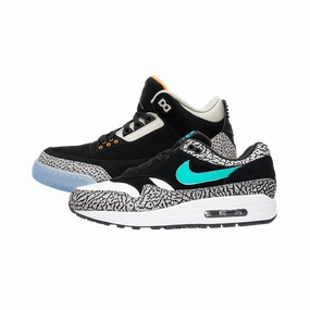 Air Jordan 3 Retro & Nike Air Max 1 atmos Pack