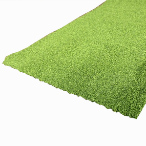 Always Green Lawn Green Turf