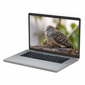 Apple MacBook Pro TouchBar 15" 2018 i9 32GB RAM 1TB