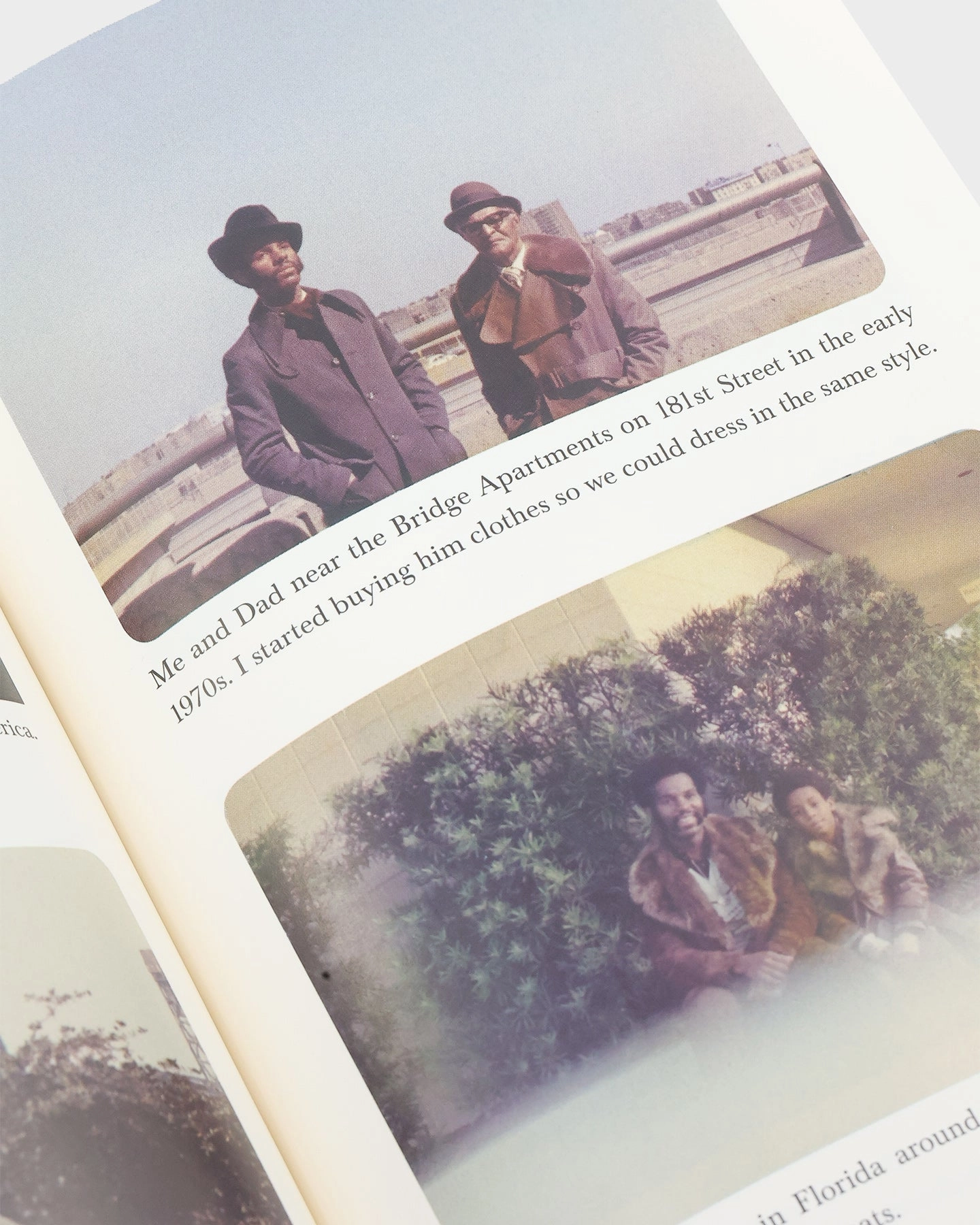 Brumby Estate Dapper Dan Book Multi-coloured