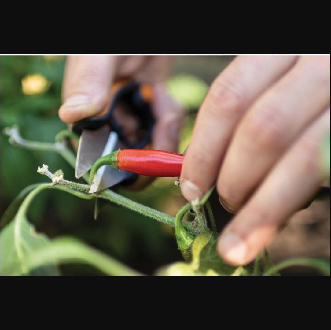 FISKARS FSK310020 - Herb Snips (5")