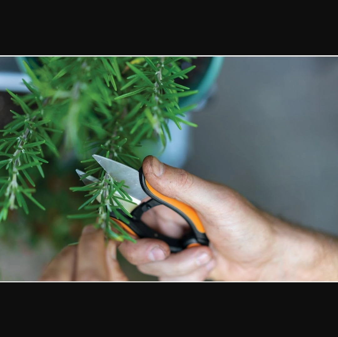FISKARS FSK310020 - Herb Snips (5")