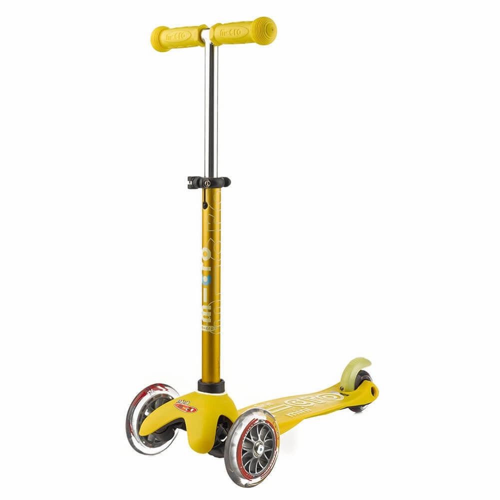 Micro Mini Deluxe Scooter