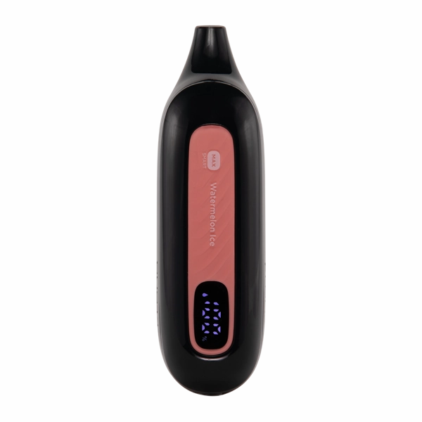 Watermelon Ice FLONQ Max Smart